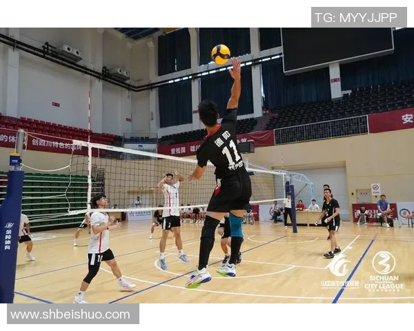 成都排球队精英赛精彩配合分析与表现评估 成都排球队精英赛精彩配合分析与表现评估