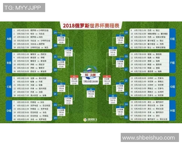 杭州排球队在世界杯中的团队协作表现分析与启示