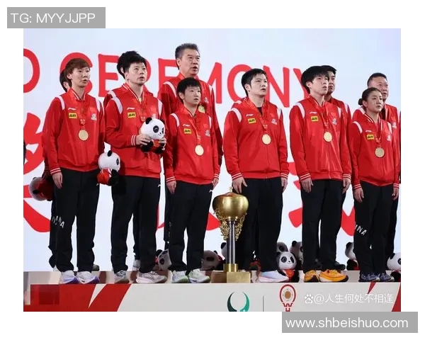 杭州乒乓球队在世界杯中的精彩表现与状态分析