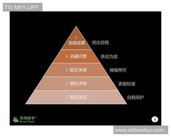 西安足球队团队协作的力量与精神探索之旅 西安足球队团队协作的力量与精神探索之旅