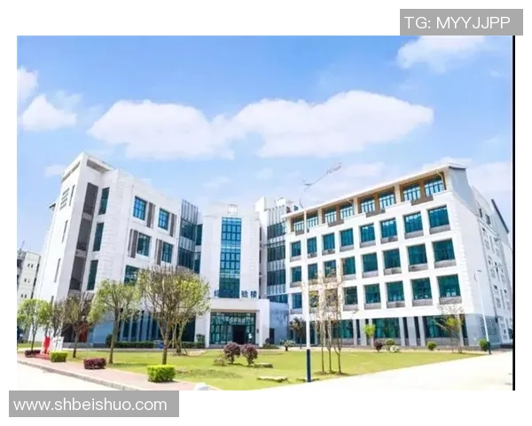 重庆篮球队实力飙升创历史新高引发关注与期待 重庆篮球队实力飙升创历史新高引发关注与期待