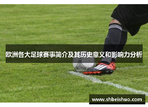 欧洲各大足球赛事简介及其历史意义和影响力分析